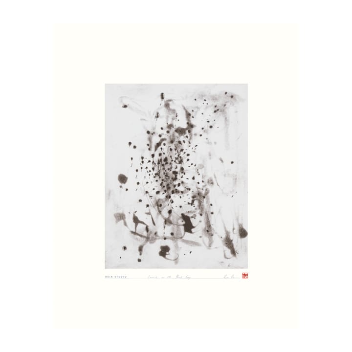 Forrest juliste 40 x 50 cm, Nro 03 Hein Studio