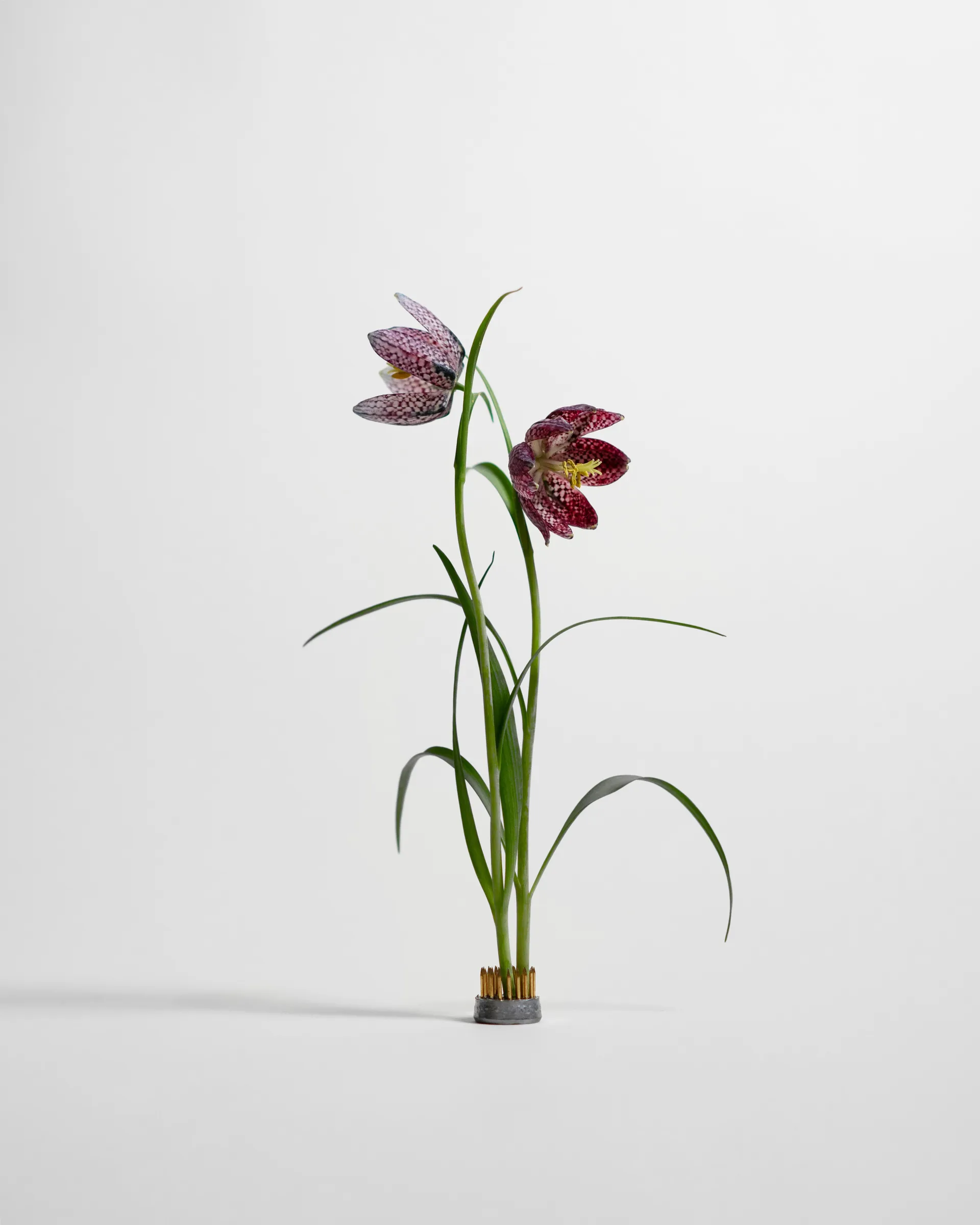 Kenzan maljakko, Ø2,3 cm Hein Studio