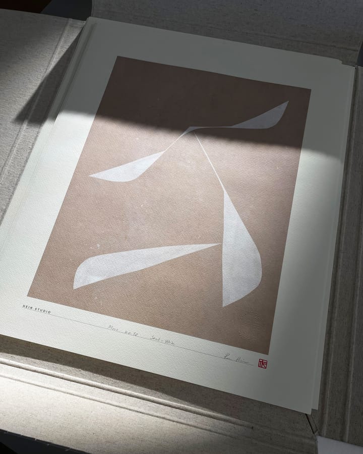 Move juliste 40 x 50 cm, Nro 10 Hein Studio