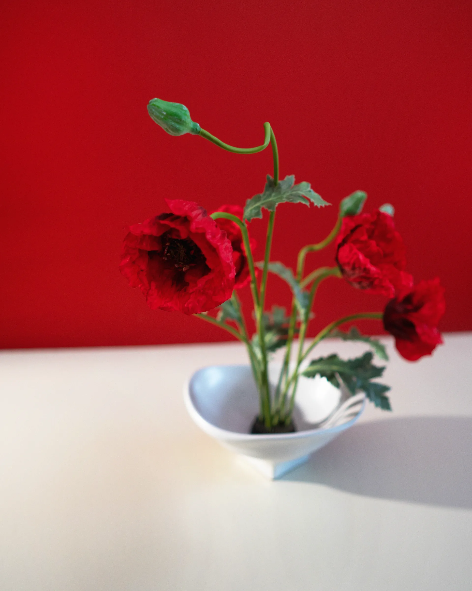 Nami kulho large 20x23 cm, White Hein Studio