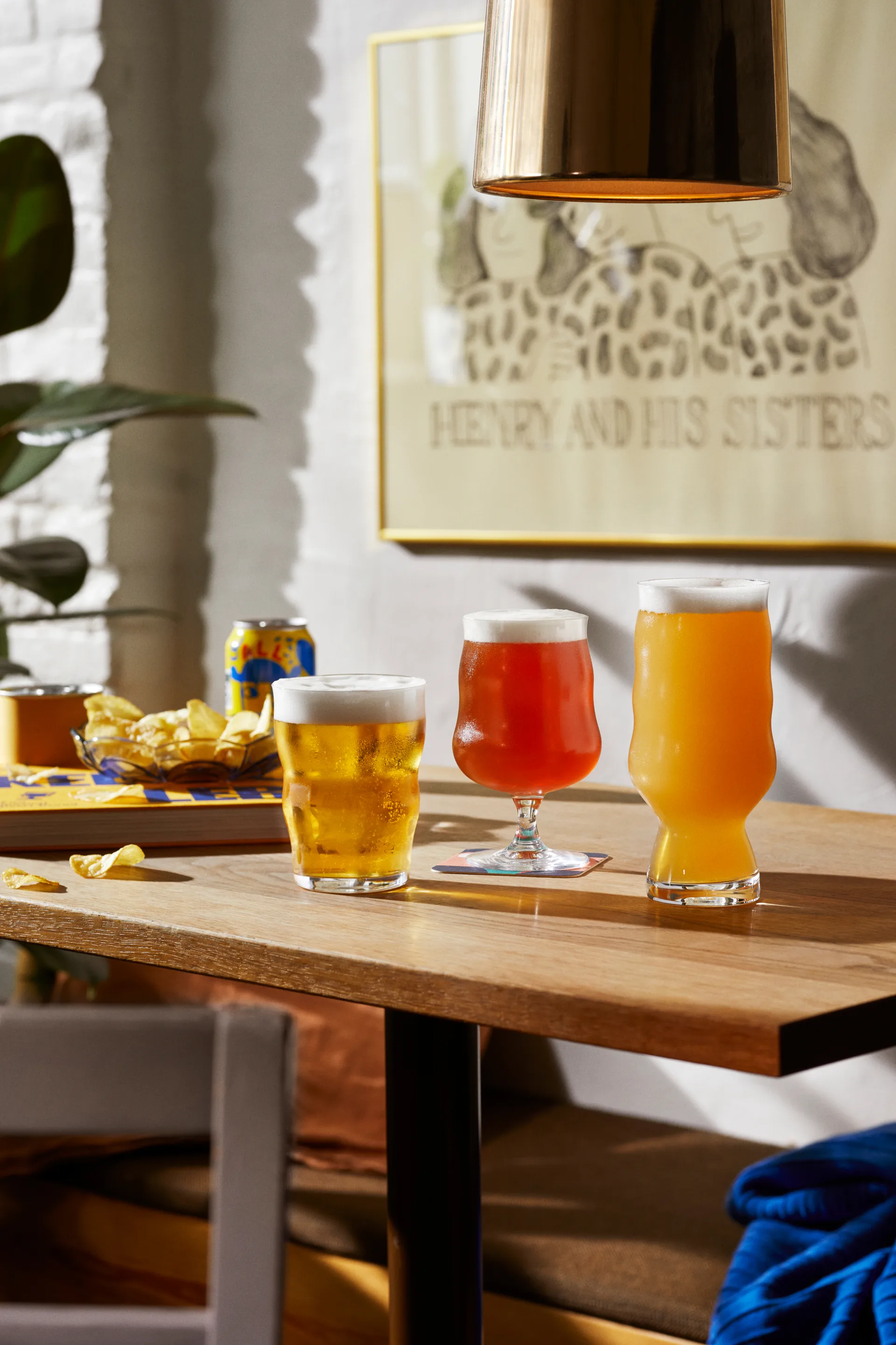 Mikkeller IPA olutlasi 2-pack, 50 cl Holmegaard