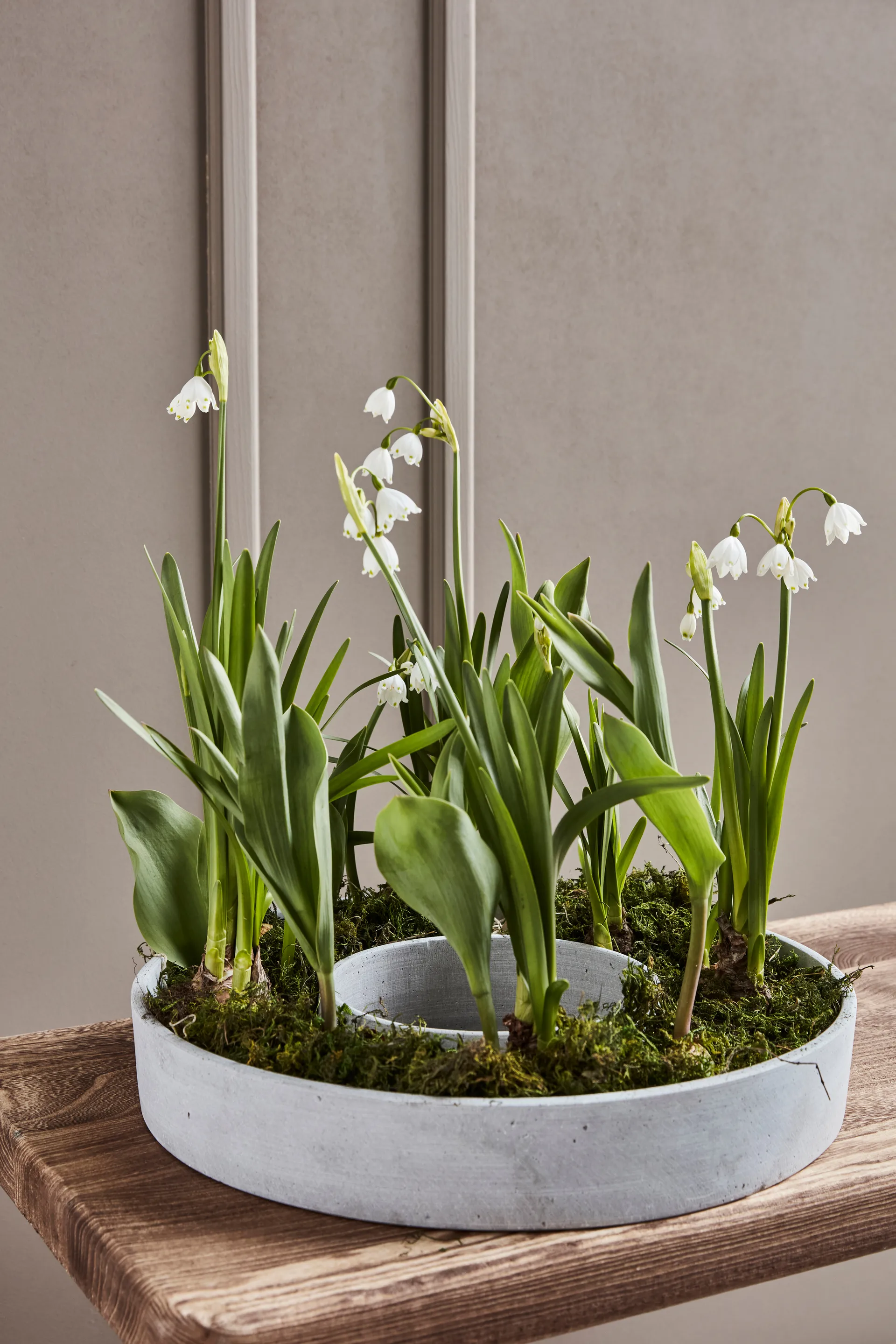 Enkelikello, alkuperäinen, Betoni House Doctor