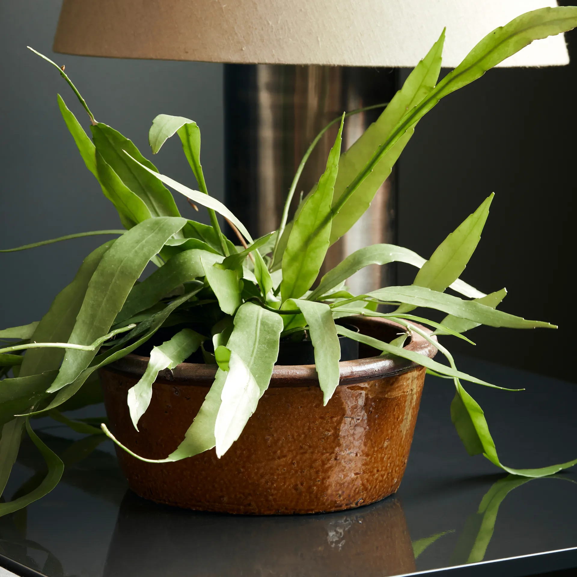 Whai ruukku Ø 30 cm, Sinapinkeltainen House Doctor