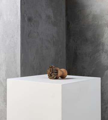 Humdakin tiskiharja kattiloille & padoille - Beech-union fibers - Humdakin