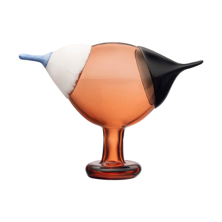 Kustskata 250x175 mm linnut by Toikka - Pomeranssi - Iittala