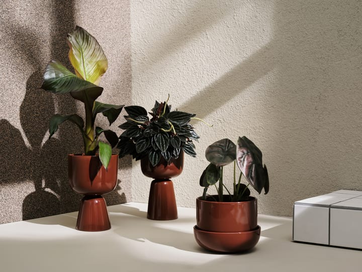 Nappula ruukku Ø15 cm k26 cm, Ruskea Iittala