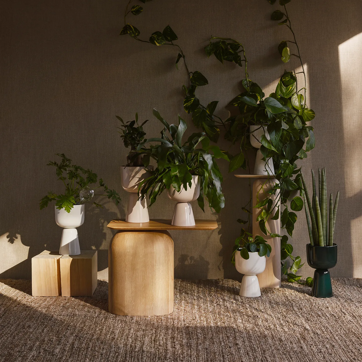 Iittala Nappula ruukku ALE 🌸🌿