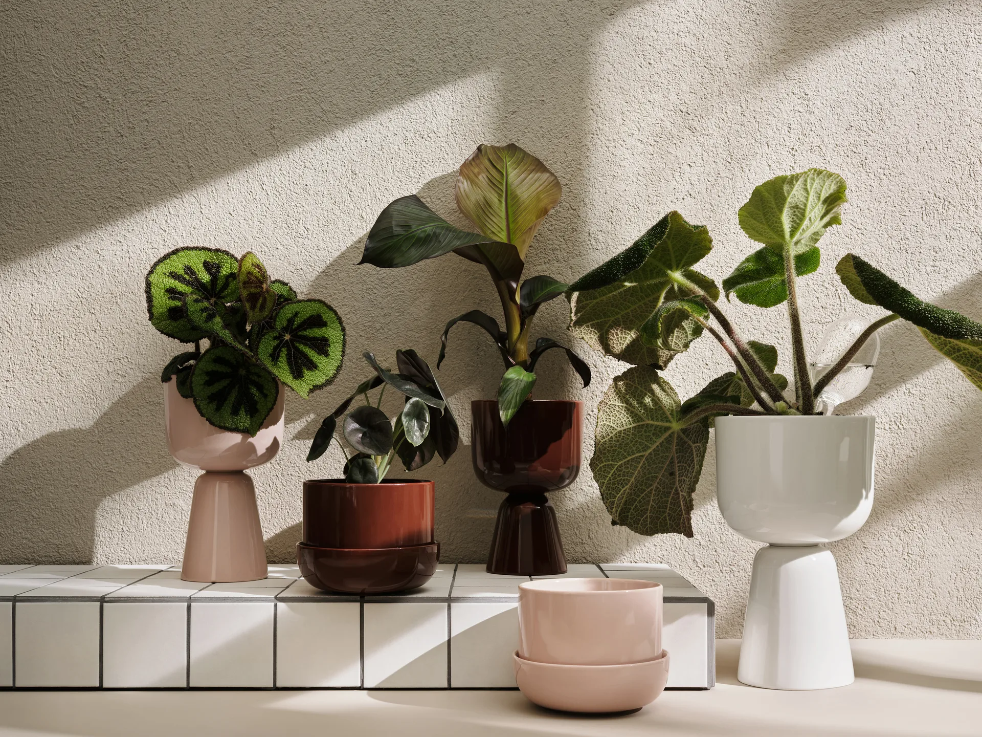 Iittala Nappula ruukku ALE 🌸🌿