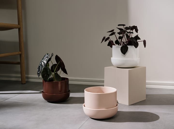 Nappula ruukku aluslautasella Ø17 cm k13 cm, Ruskea Iittala