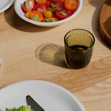 Raami juomalasi 26 cl 2-pakkaus - Sammaleenvihreä - Iittala