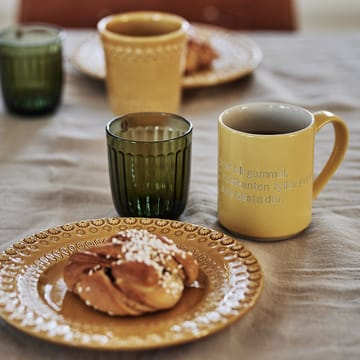 Raami juomalasi 26 cl 2-pakkaus - Sammaleenvihreä - Iittala