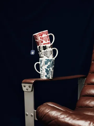 Taika muki 40 cl lahjapakkaus - Uni-peili - Iittala