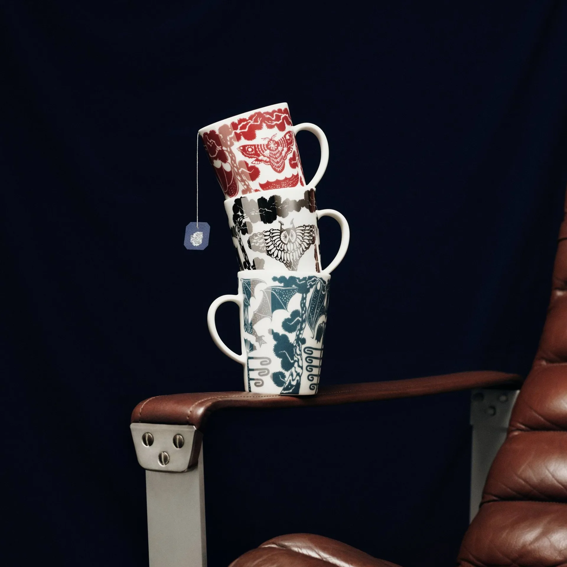Taika muki 40 cl lahjapakkaus, Yö granaatinpunainen Iittala