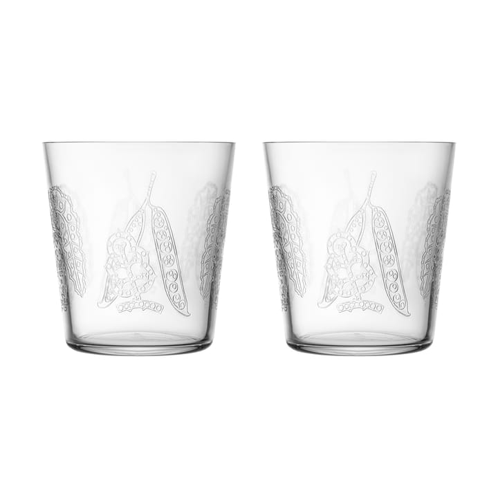 Taika Sato juomalasi 38 cl 2-pakkaus - Kirkas - Iittala