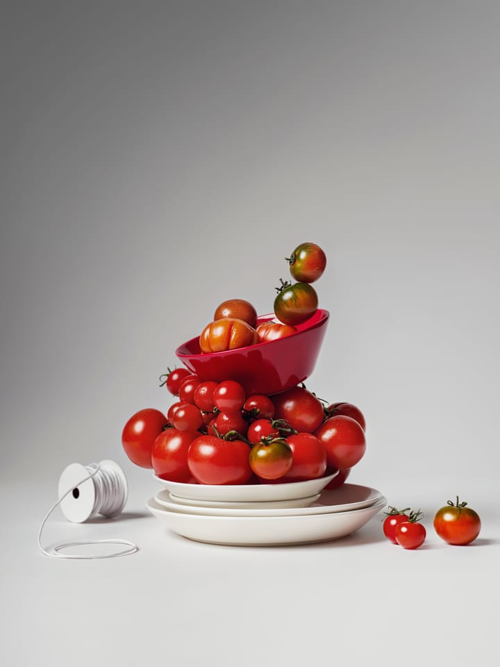 Teema-aloituspakkaus, 8 osaa Iittala