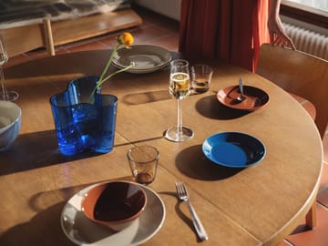 Teema lautanen 17 cm - Vintage ruskea - Iittala