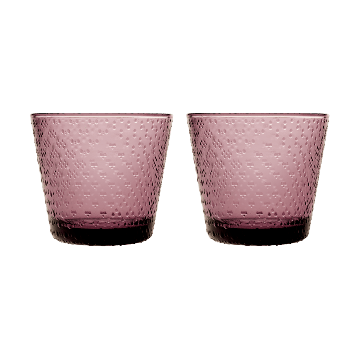 Tundra juomalasi 29 cl 2-pakkaus - Kanerva - Iittala