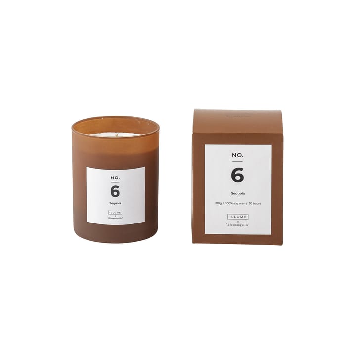 NO. 6 Sequoia -tuoksukynttilä - 200 g + Lahjalaatikko - Illume x Bloomingville