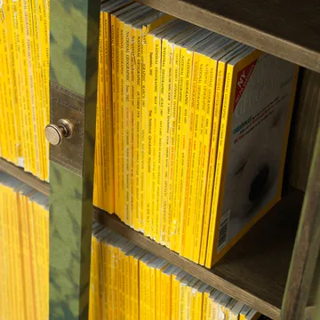 National Geographic 25 vuotta kirjahylly - Vihreä/messinki liinakangas 2 laatikkoa - Källemo