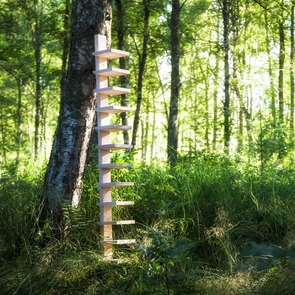 Pilaster seinähylly, Luonnollinen lakattu koivu Källemo