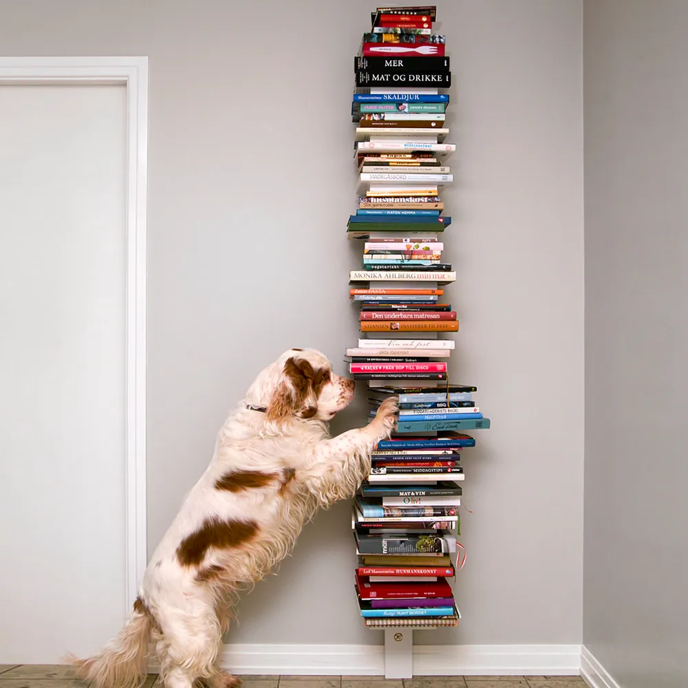 Pilaster seinähylly, Valkoinen Källemo