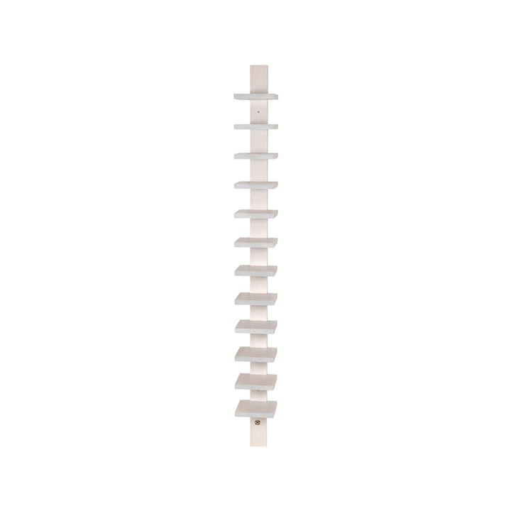 Pilaster seinähylly - Valkolakattu koivu - Källemo