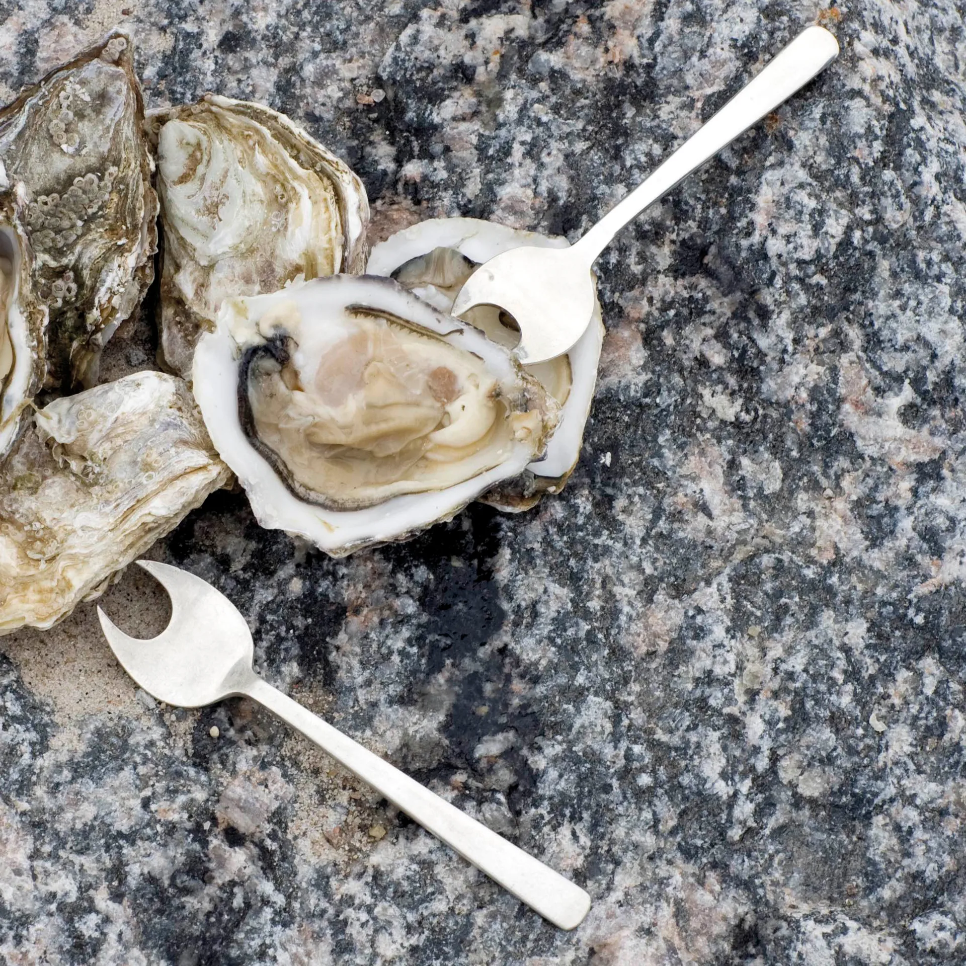 Grand Prix -äyriäisaterimet 8 osaa, Polished steel Kay Bojesen