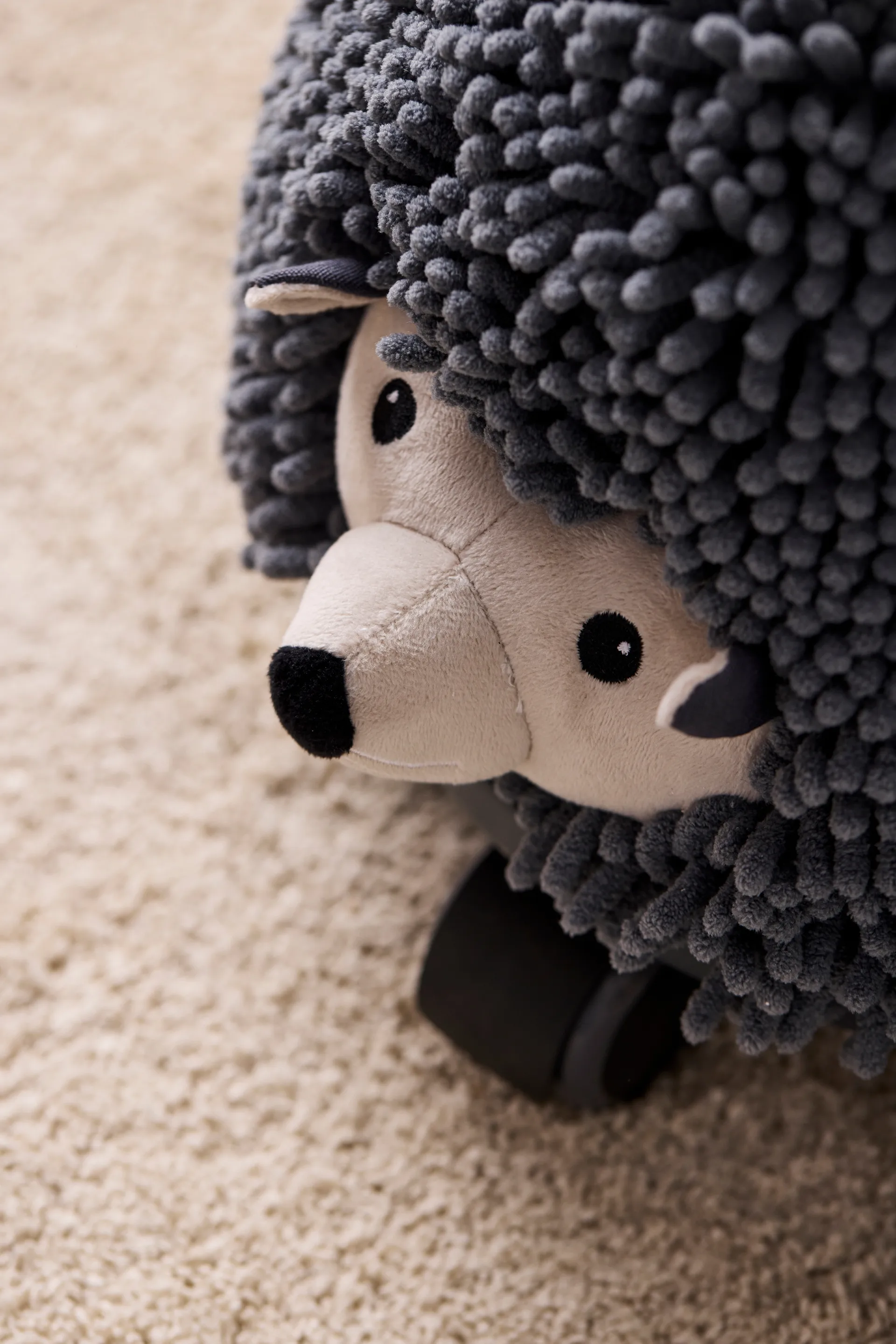 Reunakotilo siili, Edvin Kid's Concept