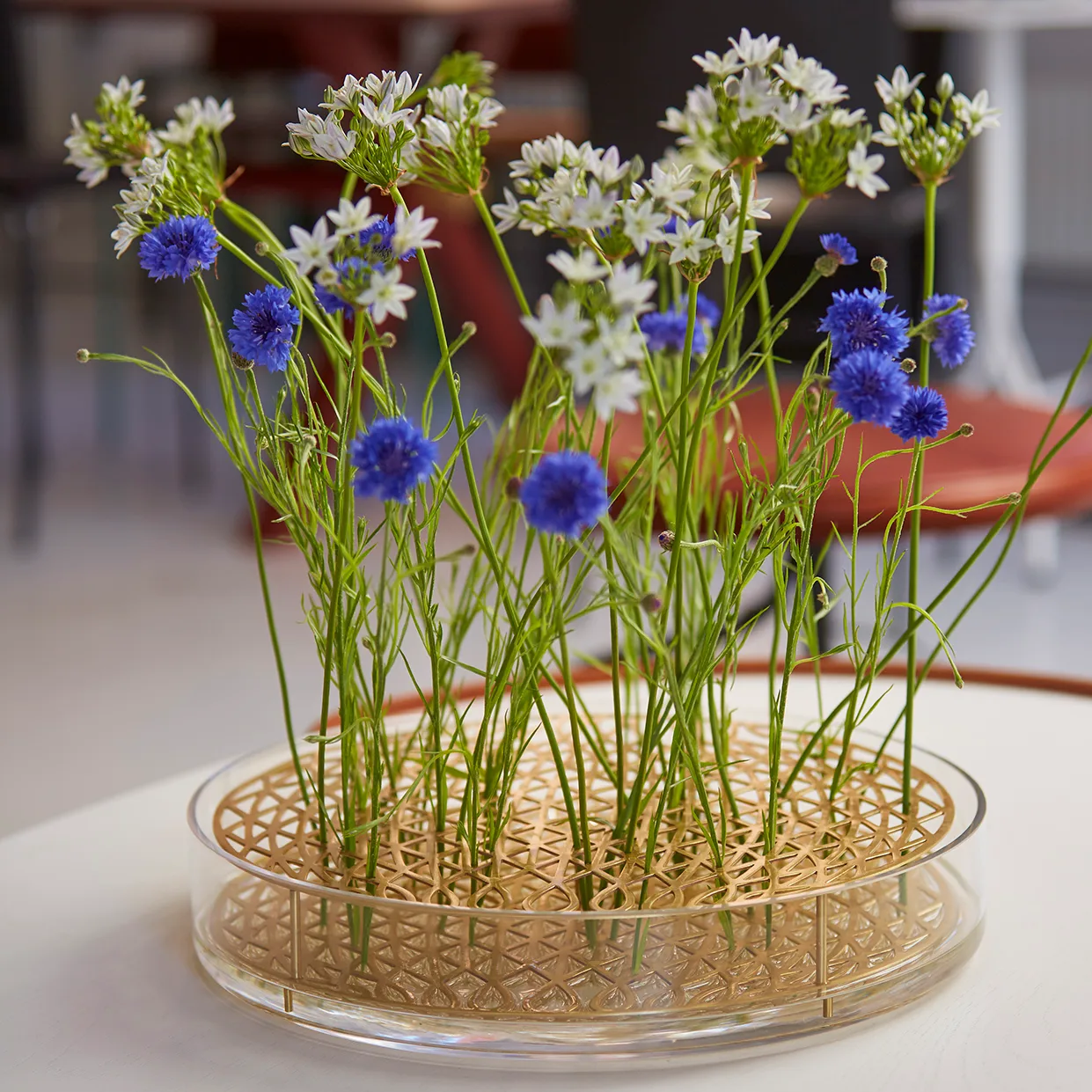 Äng maljakko, mega, messinki KLONG