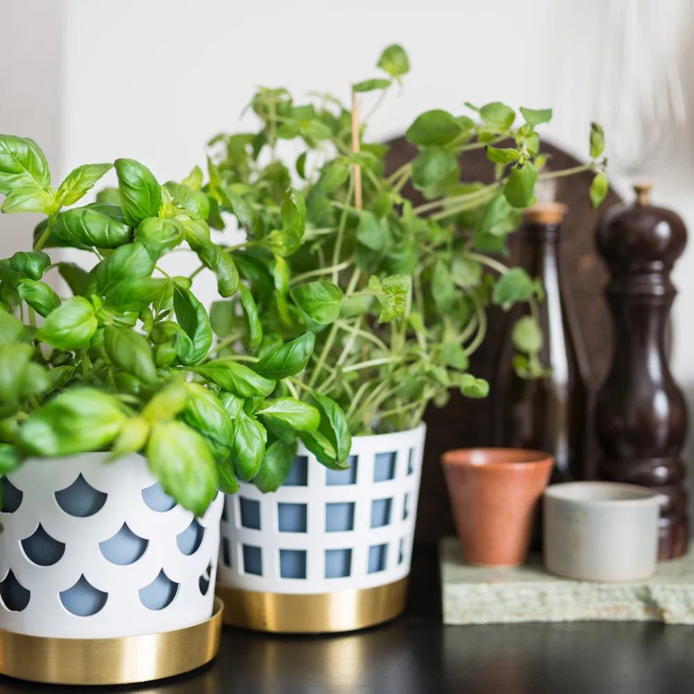 Trio Pot Square -ruukku, Beige, keskikokoinen KLONG