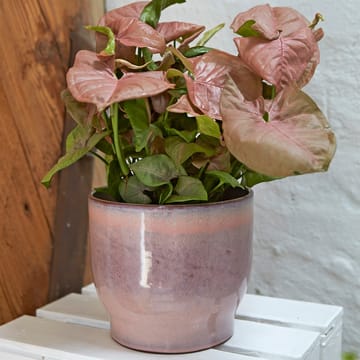Knabstrup ulkoruukku Ø 16,5 cm - Vaaleanpunainen - Knabstrup Keramik