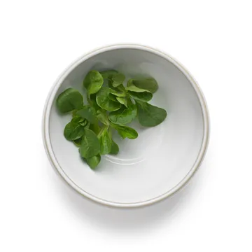 Tavola taikinakulho 0,5 L 2-pack - Valkoinen - Knabstrup Keramik