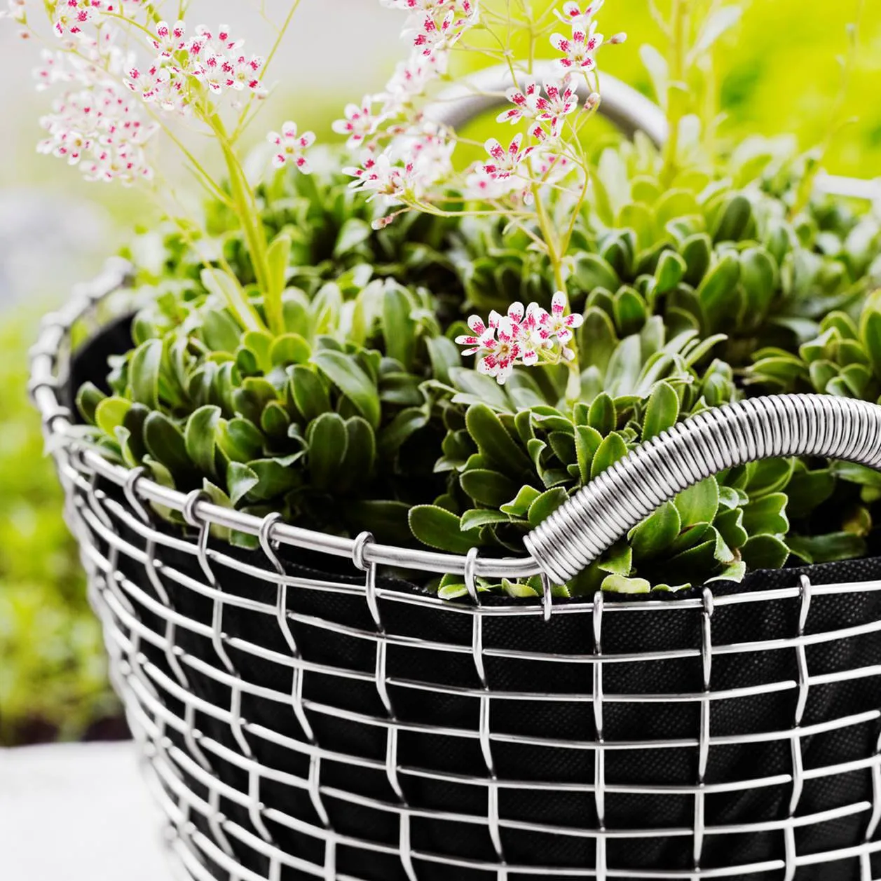 Korbo classic 50, galvanoitu teräs KORBO