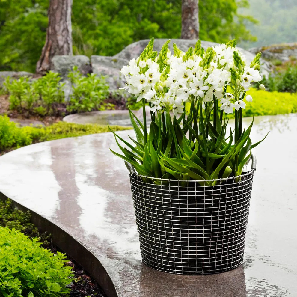 Korbo classic 50, haponkestävä teräs KORBO