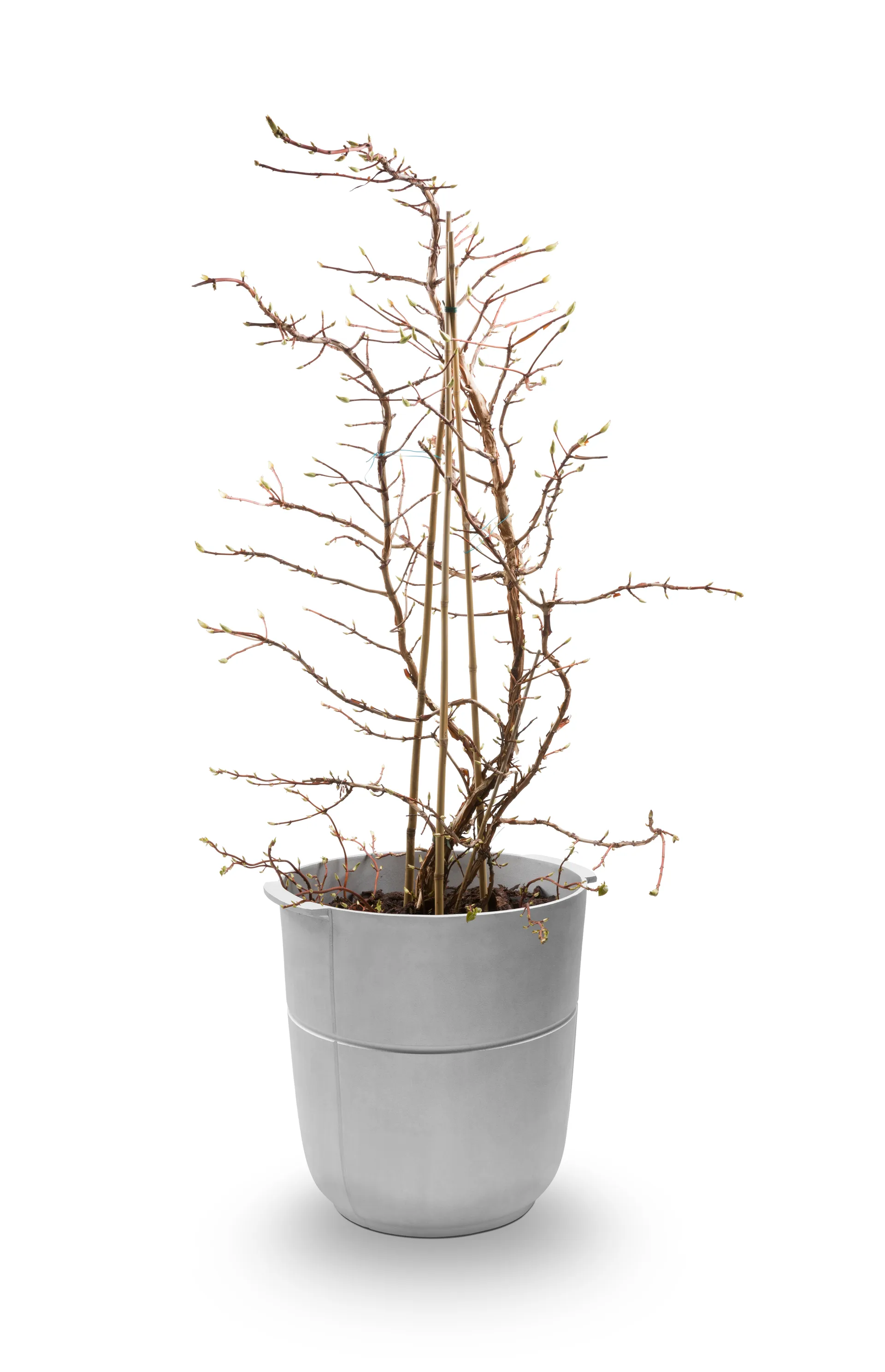 Linea ruukku nro 1 korkea, Alumiini KORBO