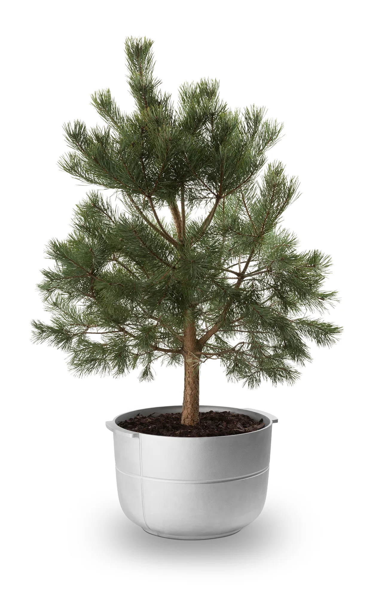 Linea ruukku nro 2 medium, Alumiini KORBO