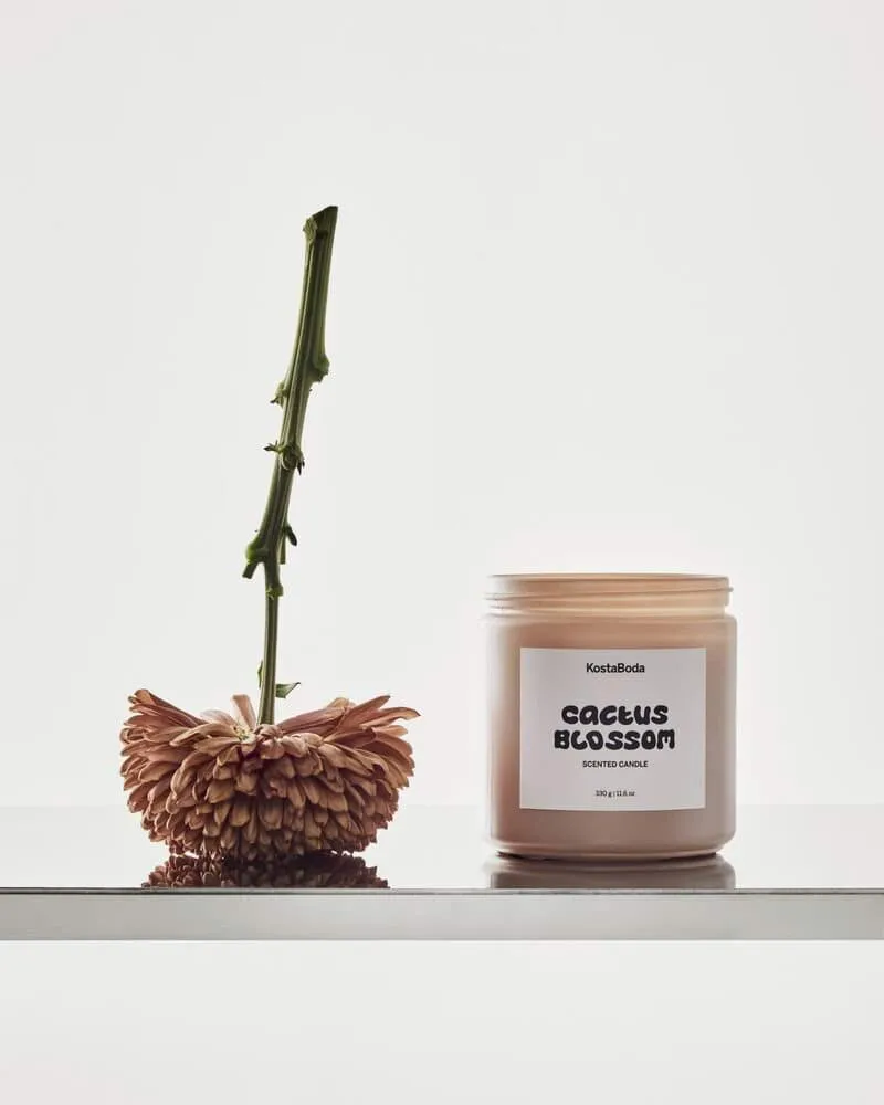 Mind tuoksukynttilä, Cactus Blossom, 330 g Kosta Boda