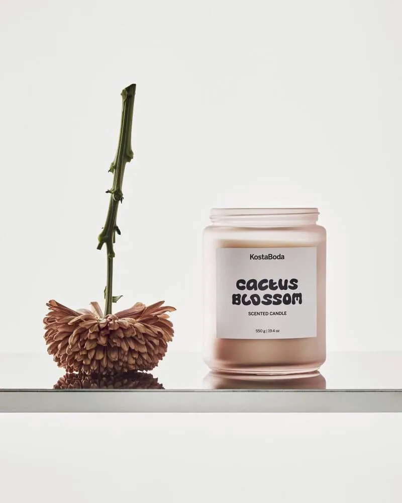 Mind tuoksukynttilä, Cactus Blossom, 550 g Kosta Boda