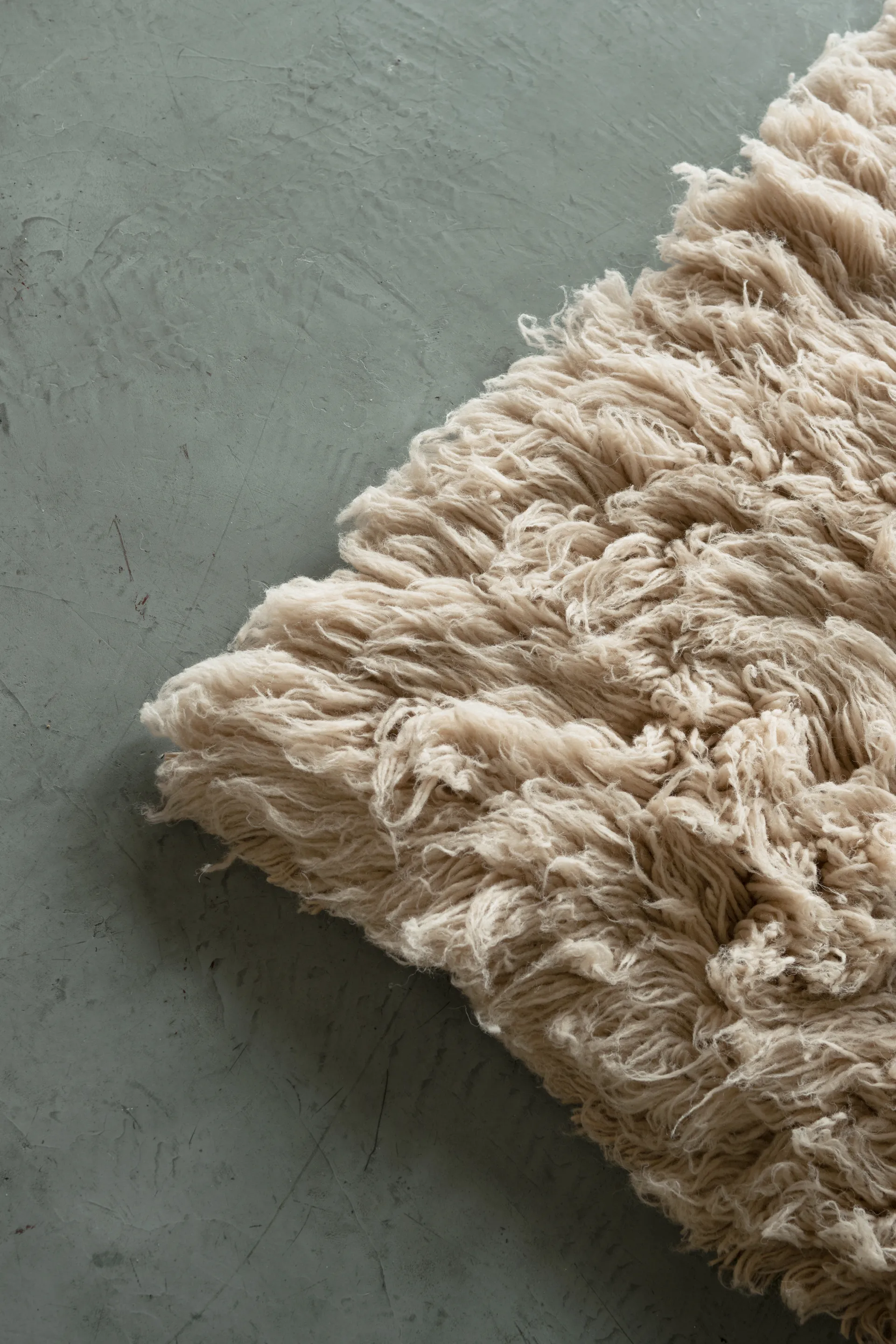 Shaggy matto 250 x 350 cm, Oatmeal Layered