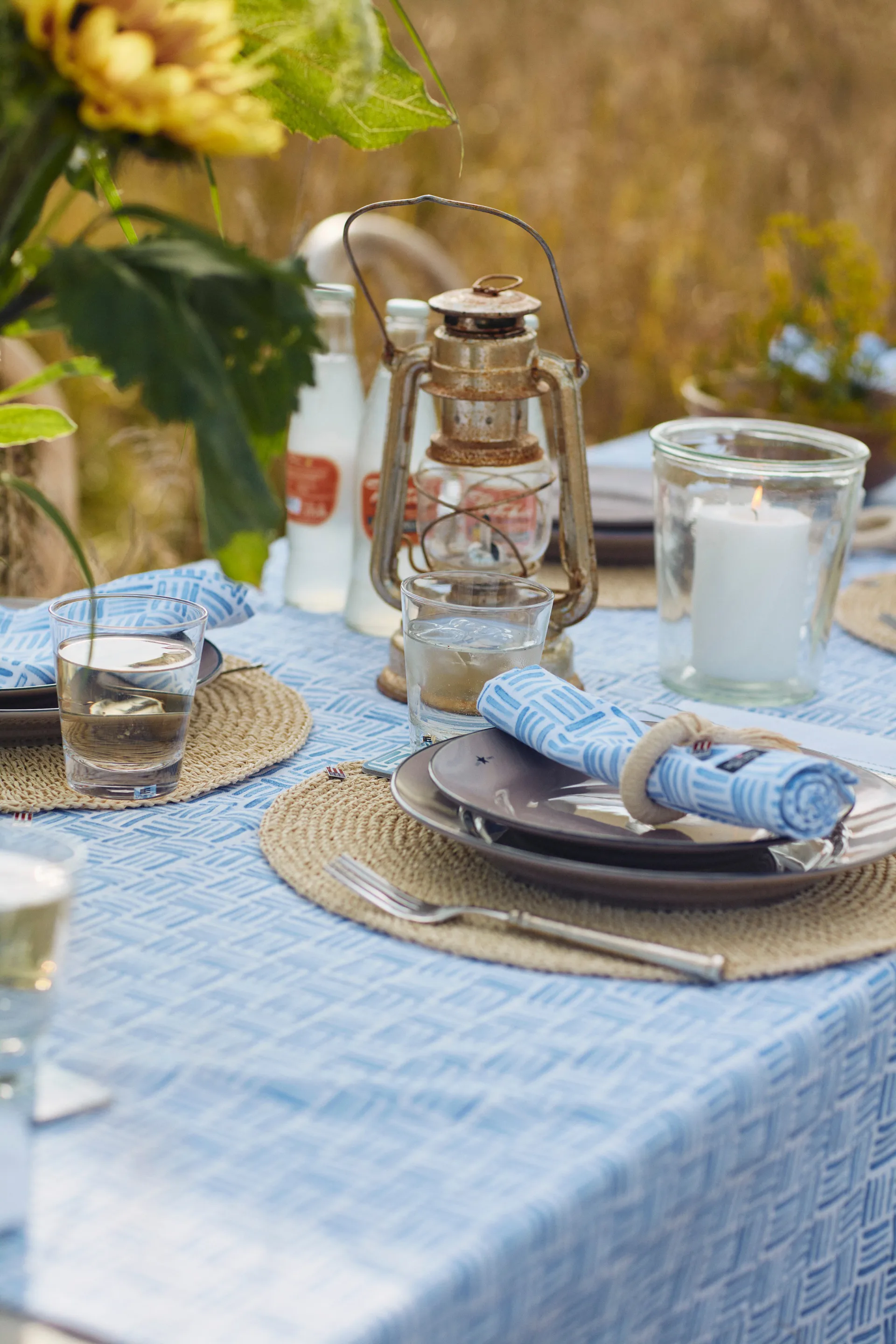 Graphic Printed Cotton -servetti 50x50 cm, Blue-White Lexington