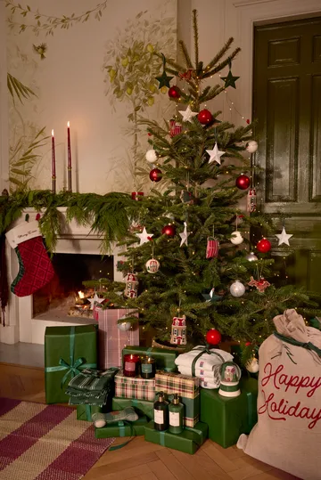 House ekologinen samettipuuvilla joulukoriste - Monivärinen - Lexington