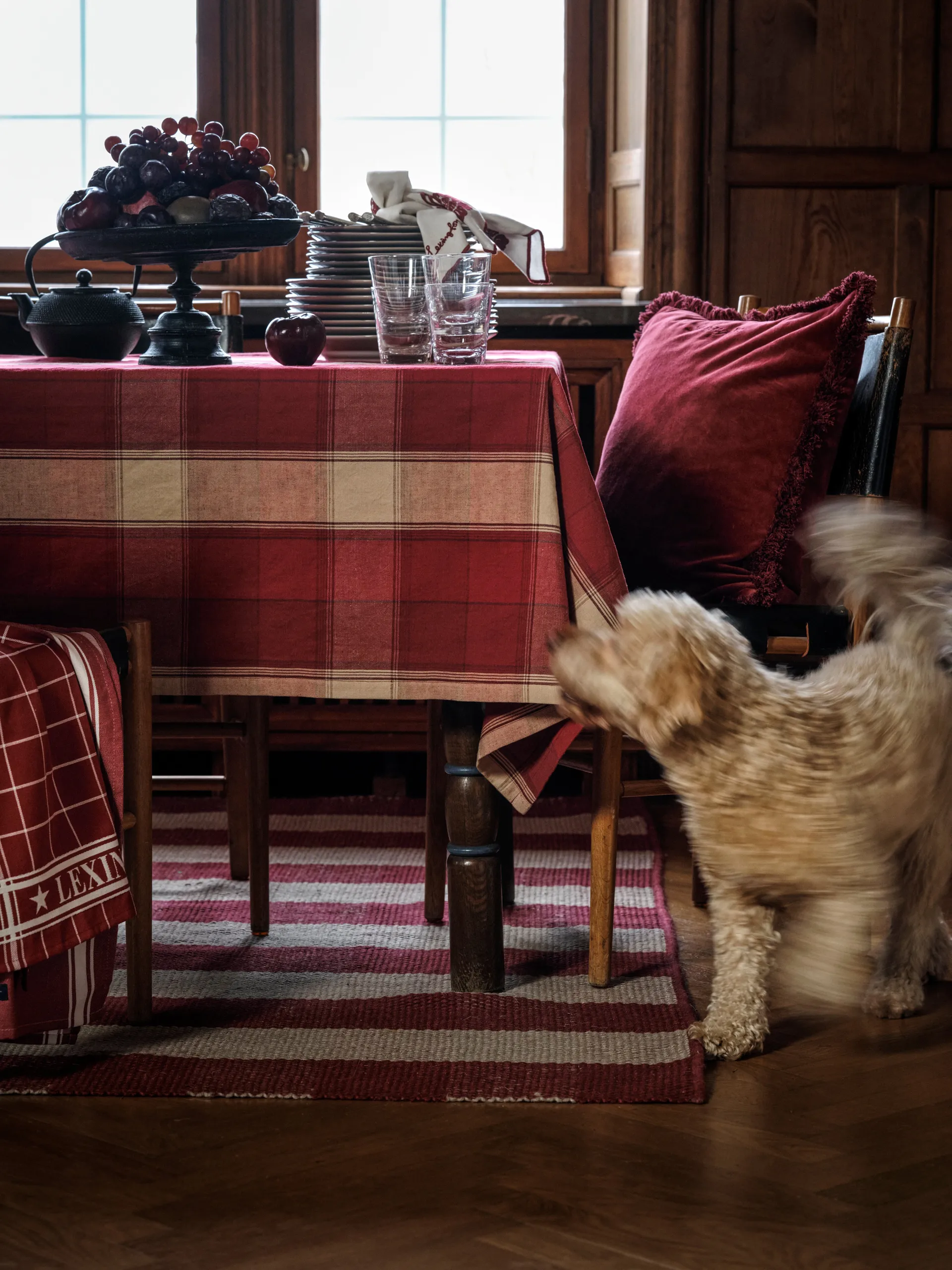 Lexington ruudullinen keittiöpyyhe 50x70 cm, Punavalkoinen Lexington