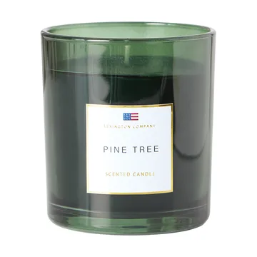 Mäntyntuoksuinen kynttilä - Pine Tree tuoksukynttilä - Lexington