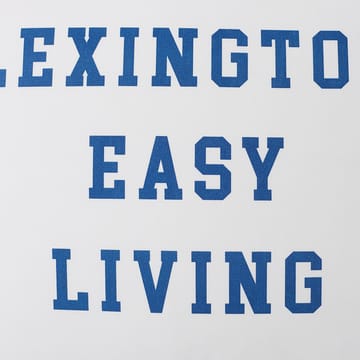 Printed Organic Cotton Poplin -tyynyliina 50 x 60 cm - White-blue - Lexington