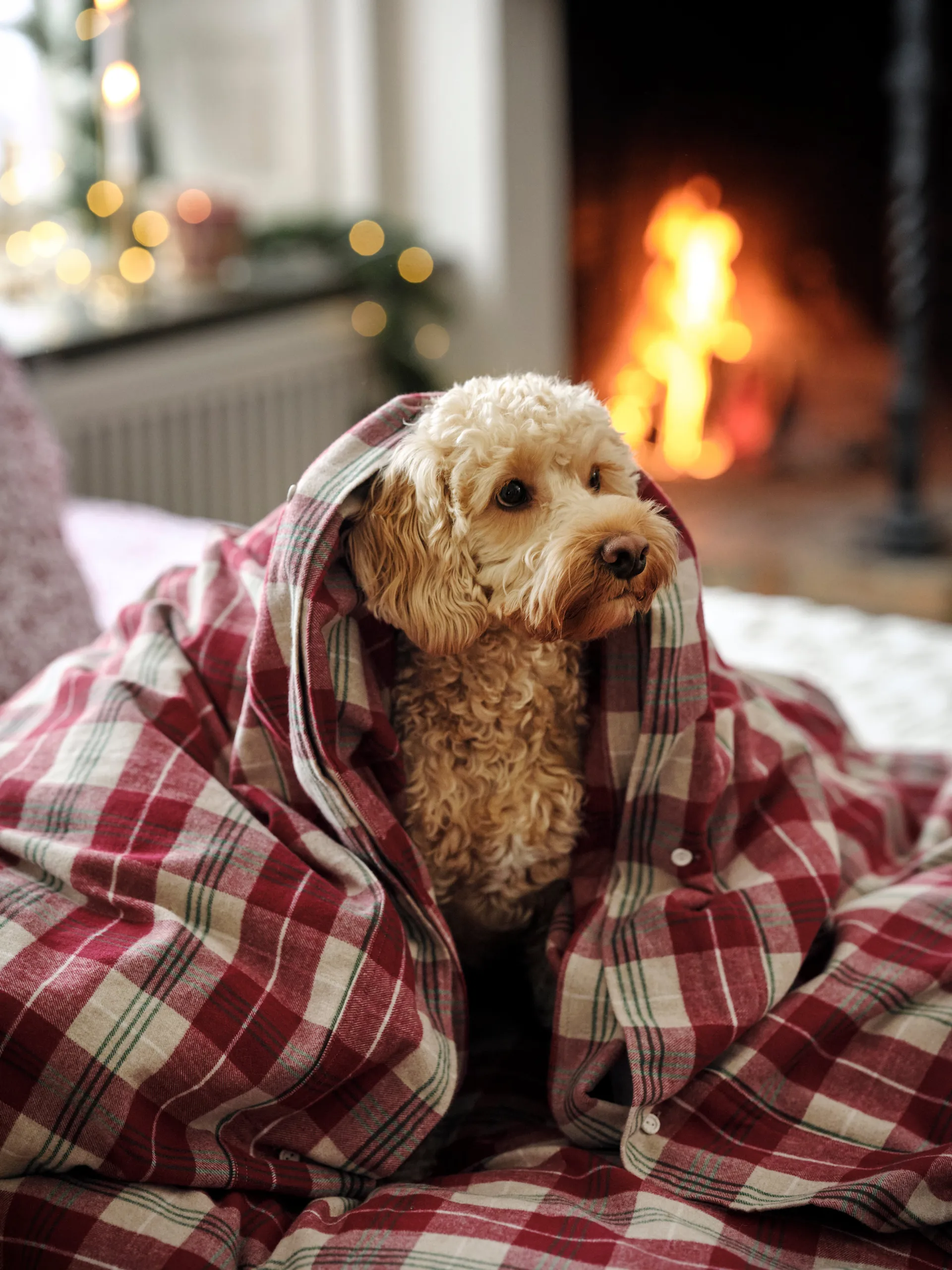 Ruudullinen puuvillaflanelli vuodevaatesetti, Punainen-beige-vihreä-valkoinen Lexington