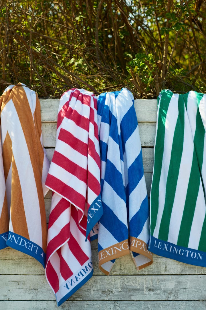 Striped Cotton Terry -rantapyyhe 100 x 180 cm, Sininen-valkoinen-vihreä Lexington