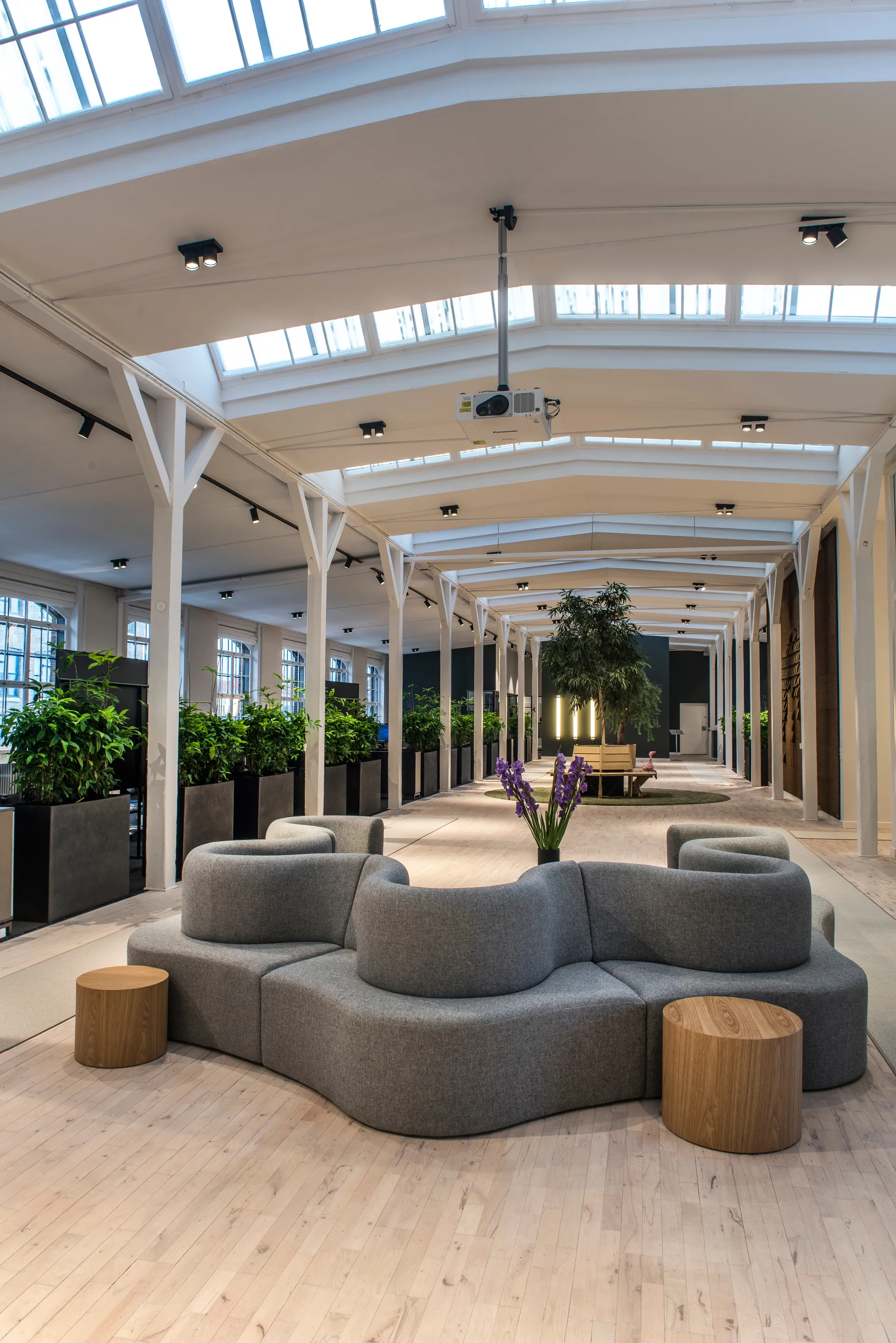 Focus 2 seinä- ja kattolamppu switch tune, Musta Light-Point