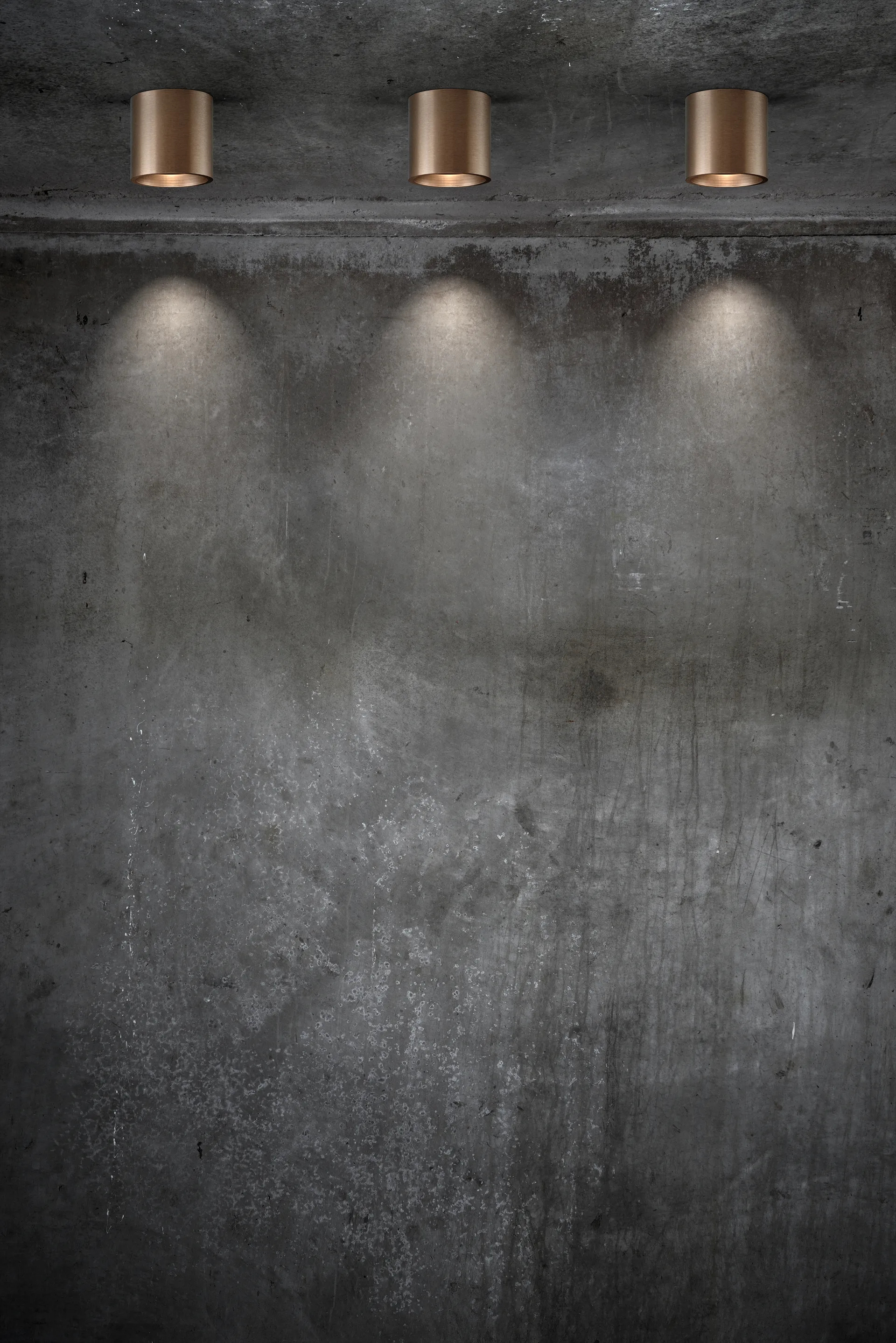 Solo Round 2 spotlight, Ruusu kulta Light-Point