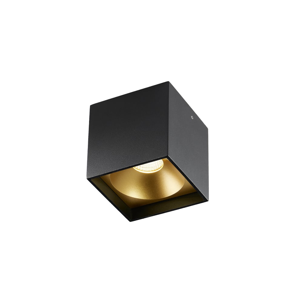 Light-Point Solo Square spotlight Black/gold 3000 kelviniä