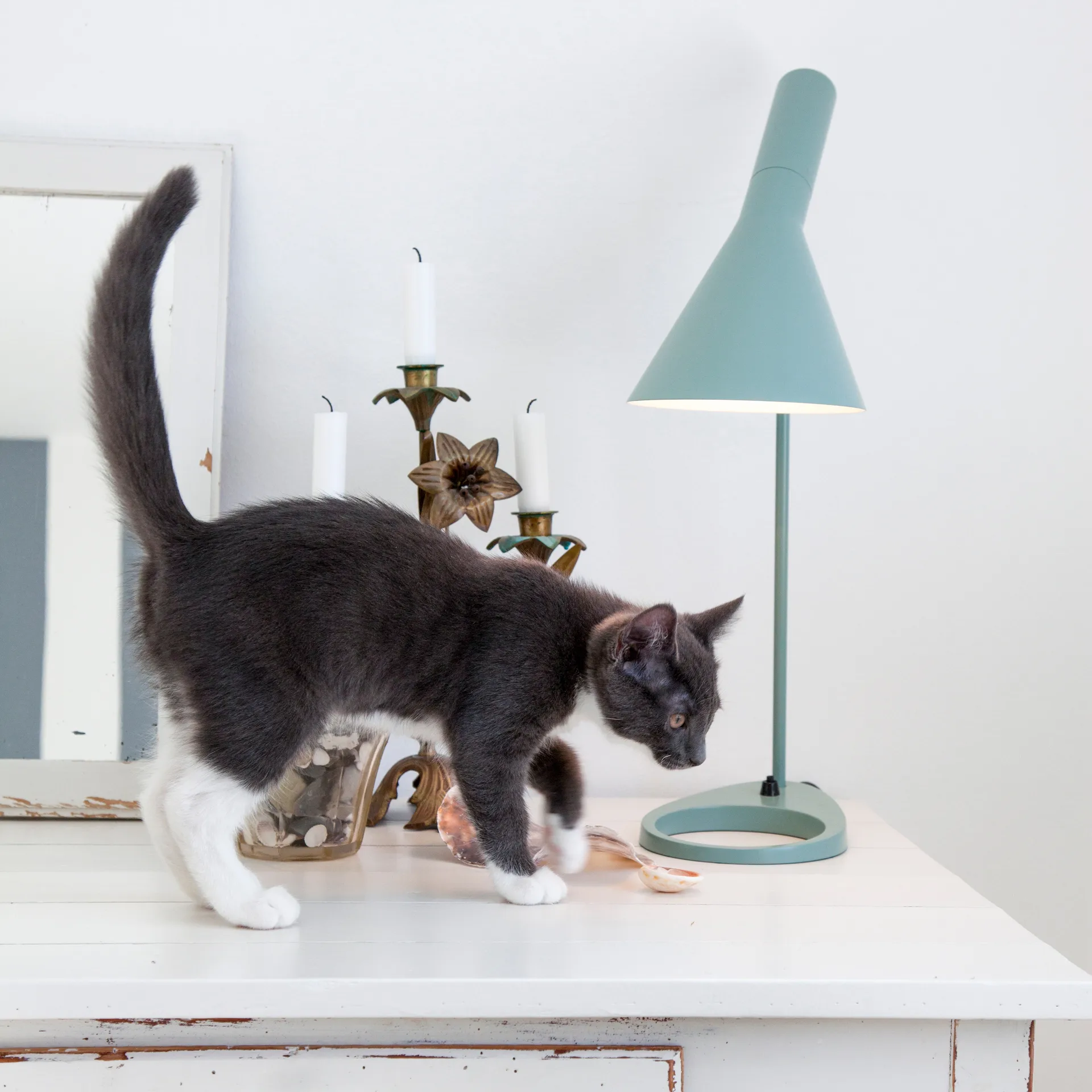 AJ-pöytälamppu, Vaalea petroolinsininen Louis Poulsen